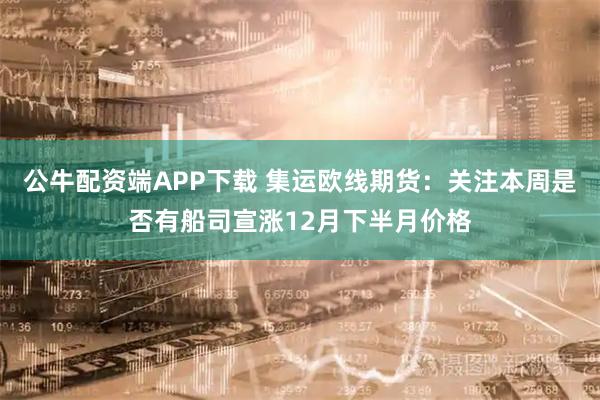 公牛配资端APP下载 集运欧线期货：关注本周是否有船司宣涨12月下半月价格