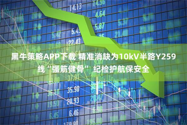 黑牛策略APP下载 精准消缺为10kV半路Y259线“强筋健骨” 纪检护航保安全
