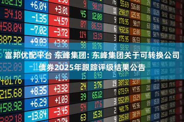 富邦优配平台 东峰集团: 东峰集团关于可转换公司债券2025年跟踪评级结果公告