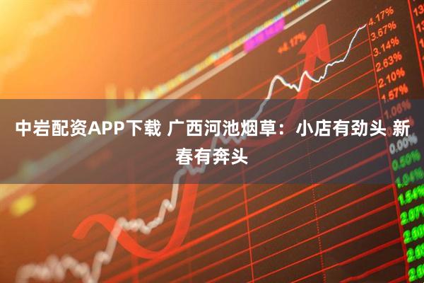 中岩配资APP下载 广西河池烟草：小店有劲头 新春有奔头