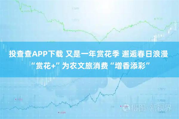 投查查APP下载 又是一年赏花季 邂逅春日浪漫 “赏花+”为农文旅消费“增香添彩”